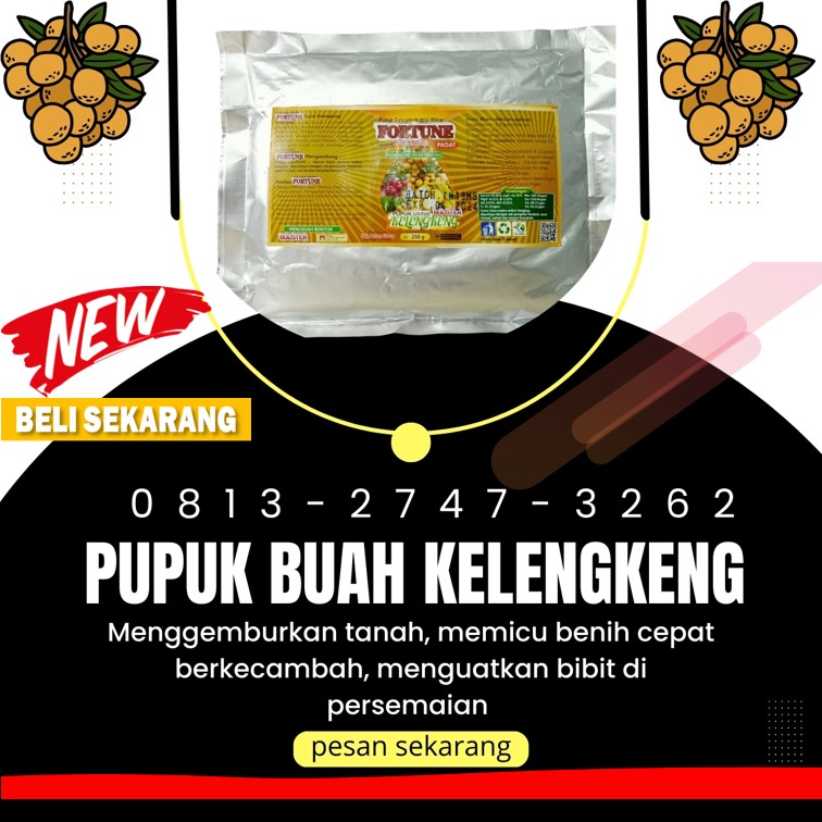 Distributor Pupuk Kelengkeng Agar Buah Tidak Rontok Demak, Produsen Pupuk Kelengkeng Agar Cepat Besar Purwodadi, Pabrik Pupuk Buah Kelengkeng Jepara
