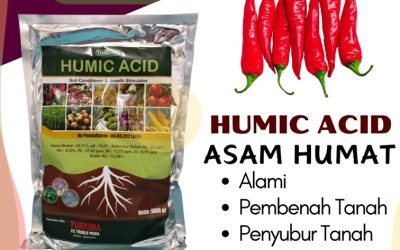ORGANIK CALL 0813-2747-3262, TOKO Humic Acid Socah, Asam Humat Terbaik Tanah Merah, Asam Humat Tanjungbumi