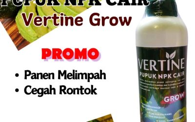 GA MAIN MAIN CALL 0813-2747-3262, DISTRIBUTOR Pupuk Tanaman Alpukat Lumbok Seminung, Pupuk NPK Untuk Alpukat Pagar Dewa, Pupuk Alpukat Terbaik Sekincau