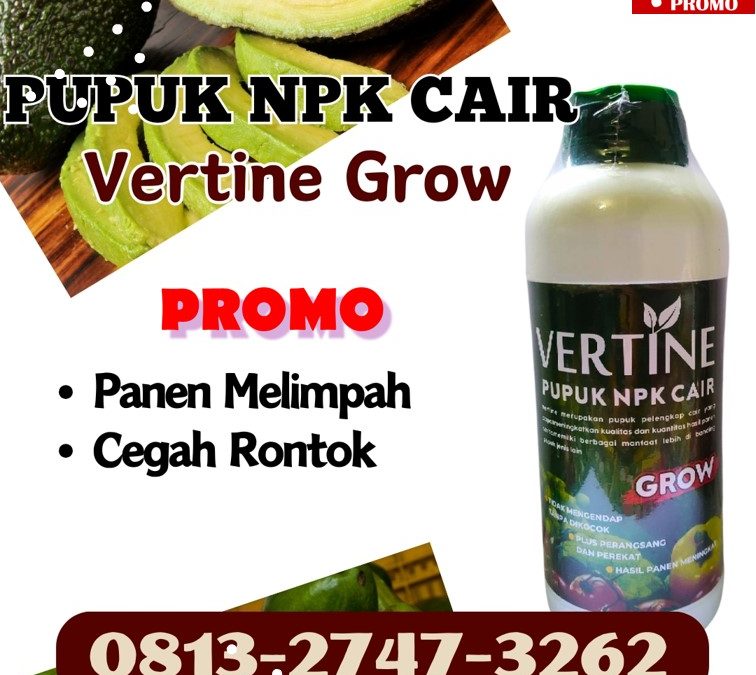 GA MAIN MAIN CALL 0813-2747-3262, DISTRIBUTOR Pupuk Tanaman Alpukat Lumbok Seminung, Pupuk NPK Untuk Alpukat Pagar Dewa, Pupuk Alpukat Terbaik Sekincau