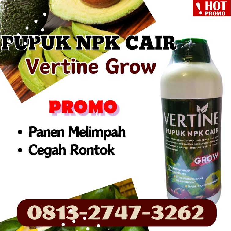 DISTRIBUTOR Pupuk Untuk Alpukat Mentega Lumbok Seminung, AGEN Pupuk Npk Untuk Alpukat Pagar Dewa, Pupuk Npk Untuk Buah Alpukat Sekincau
