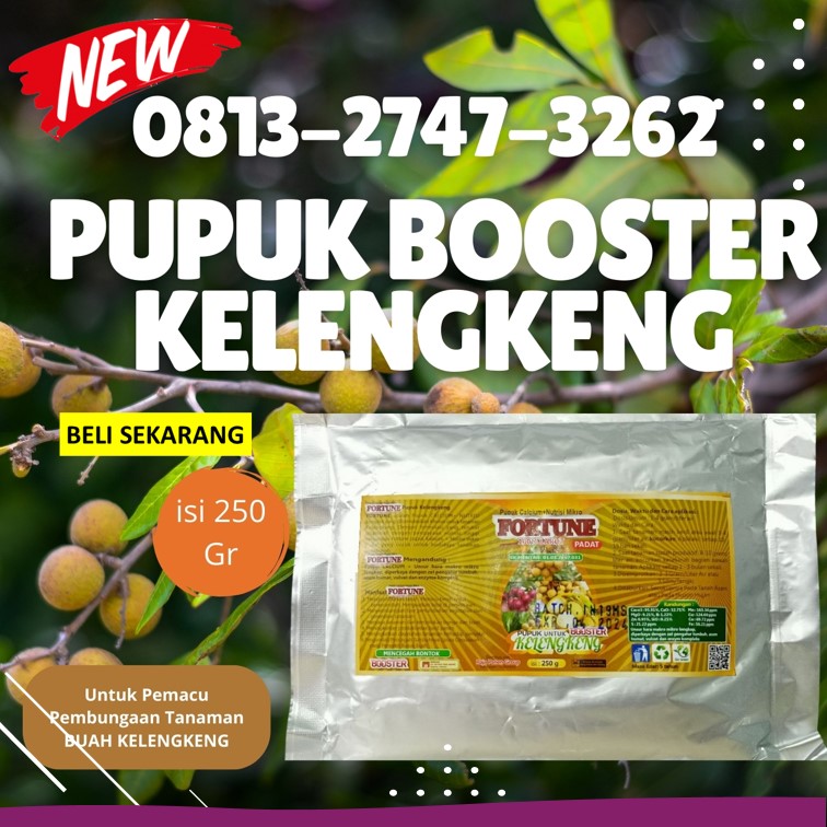 Produsen Pupuk Kelengkeng Agar Cepat Besar Purwodadi, Pabrik Pupuk Buah Kelengkeng Jepara, Agen Pupuk Alami Kelengkeng Karanganyar