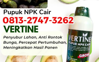 GARA GARA INI CALL 0813-2747-3262, AGEN Pupuk NPK Untuk Alpukat Pagar Dewa, Pupuk Alpukat Terbaik Sekincau, Pupuk Alpukat Sukau