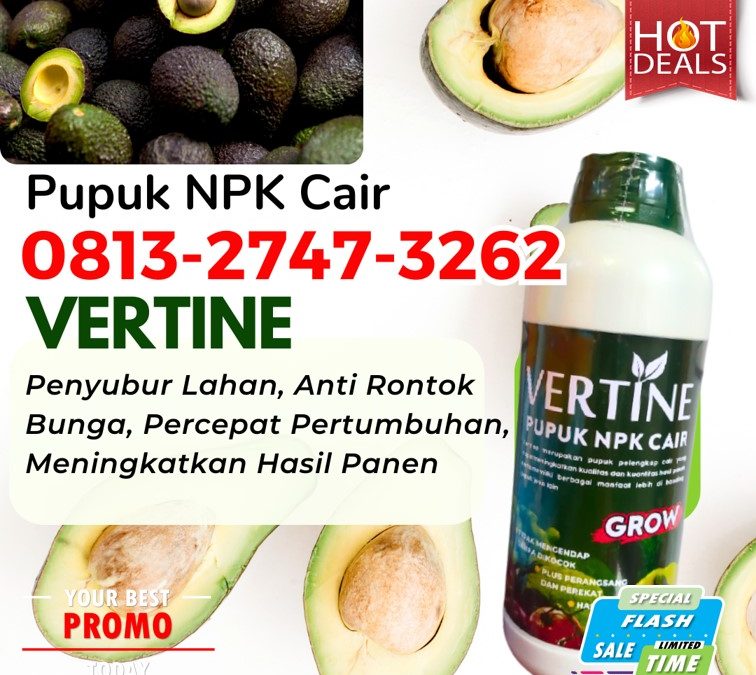 GARA GARA INI CALL 0813-2747-3262, AGEN Pupuk NPK Untuk Alpukat Pagar Dewa, Pupuk Alpukat Terbaik Sekincau, Pupuk Alpukat Sukau
