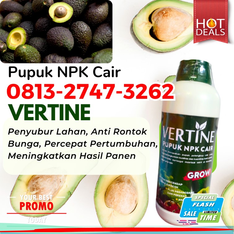 AGEN Pupuk Npk Untuk Alpukat Pagar Dewa, TOKO Pupuk Npk Untuk Buah Alpukat Sekincau, Pupuk Pohon Alpukat Sukau