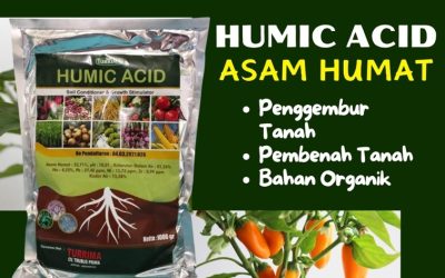 GARA GARA INI CALL 0813-2747-3262, PUSAT Asam Humat Tanjungbumi, Humic Acid Tragah, Asam Humat Terbaik Bangorejo