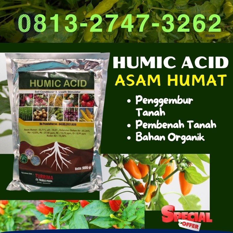 PUSAT Asam Humat Humic Acid Tanjungbumi, JUAL Asam Humat Untuk Bawang Merah Tragah, Asam Humat Bubuk Bangorejo