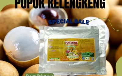 TERBAIK! 0813-2747-3262 Agen Pupuk Alami Kelengkeng Karanganyar, Harga Pupuk Kelengkeng Booster Grobogan, Grosir Pupuk Perangsang Bunga Dan Buah Kelengkeng Kebumen
