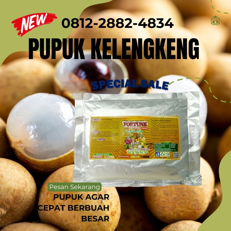 Agen Pupuk Alami Kelengkeng Karanganyar, Harga Pupuk Kelengkeng Booster Grobogan, Grosir Pupuk Perangsang Bunga Dan Buah Kelengkeng Kebumen