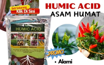 OH JADI INI CALL 0813-2747-3262, JUAL Humic Acid Tragah, Asam Humat Terbaik Bangorejo, Asam Humat Banyuwangi