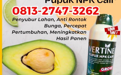 OH JADI INI CALL 0813-2747-3262, TOKO Pupuk Alpukat Terbaik Sekincau, Pupuk Alpukat Sukau, Pupuk Buah Alpukat Sumber Jaya