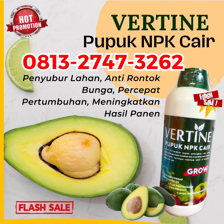 TOKO Pupuk Npk Untuk Buah Alpukat Sekincau, SUPPLIER Pupuk Pohon Alpukat Sukau, Pupuk Pertumbuhan Alpukat Sumber Jaya