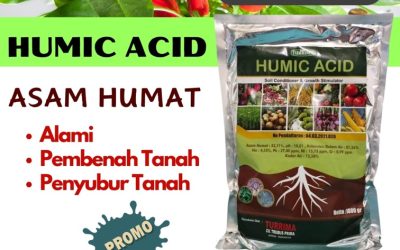 CUMA BULAN INI CALL 0813-2747-3262, GROSIR Asam Humat Terbaik Bangorejo, Asam Humat Banyuwangi, Humic Acid Cluring