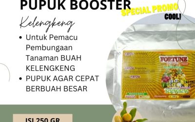 TERLARIS! 0813-2747-3262 Harga Pupuk Kelengkeng Booster Grobogan, Grosir Pupuk Perangsang Bunga Dan Buah Kelengkeng Kebumen, Jual Pupuk Yang Cocok Untuk Kelengkeng Kendal