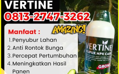 CUMA BULAN INI CALL 0813-2747-3262, SUPPLIER Pupuk Alpukat Sukau, Pupuk Buah Alpukat Sumber Jaya, Pupuk Booster Alpukat Suoh