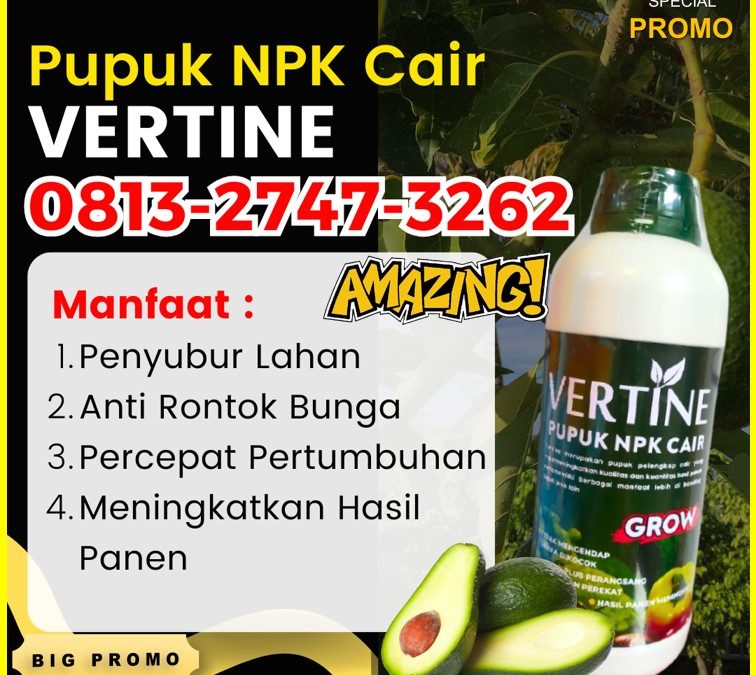 CUMA BULAN INI CALL 0813-2747-3262, SUPPLIER Pupuk Alpukat Sukau, Pupuk Buah Alpukat Sumber Jaya, Pupuk Booster Alpukat Suoh