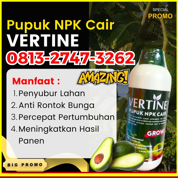 SUPPLIER Pupuk Pohon Alpukat Sukau, PUSAT Pupuk Pertumbuhan Alpukat Sumber Jaya, Pupuk Perangsang Alpukat Suoh