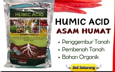ALAMI CALL 0813-2747-3262, HARGA Asam Humat Banyuwangi, Humic Acid Cluring, Asam Humat Terbaik Gambiran