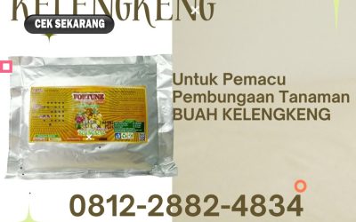 CEGAH LAYU! 0813-2747-3262 Grosir Pupuk Perangsang Bunga Dan Buah Kelengkeng Kebumen, Jual Pupuk Yang Cocok Untuk Kelengkeng Kendal, Supplier Pupuk Dasar Kelengkeng Klaten