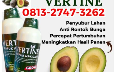 ALAMI CALL 0813-2747-3262, PUSAT Pupuk Buah Alpukat Sumber Jaya, Pupuk Booster Alpukat Suoh, Pupuk Tanaman Alpukat Way Tenong