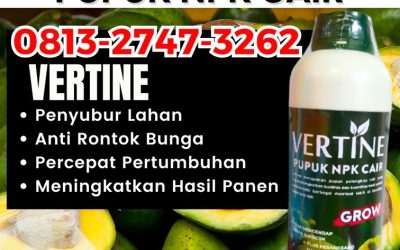 ORGANIK CALL 0813-2747-3262, JUAL Pupuk Booster Alpukat Suoh, Pupuk Tanaman Alpukat Way Tenong, Pupuk NPK Untuk Alpukat Bakauheni