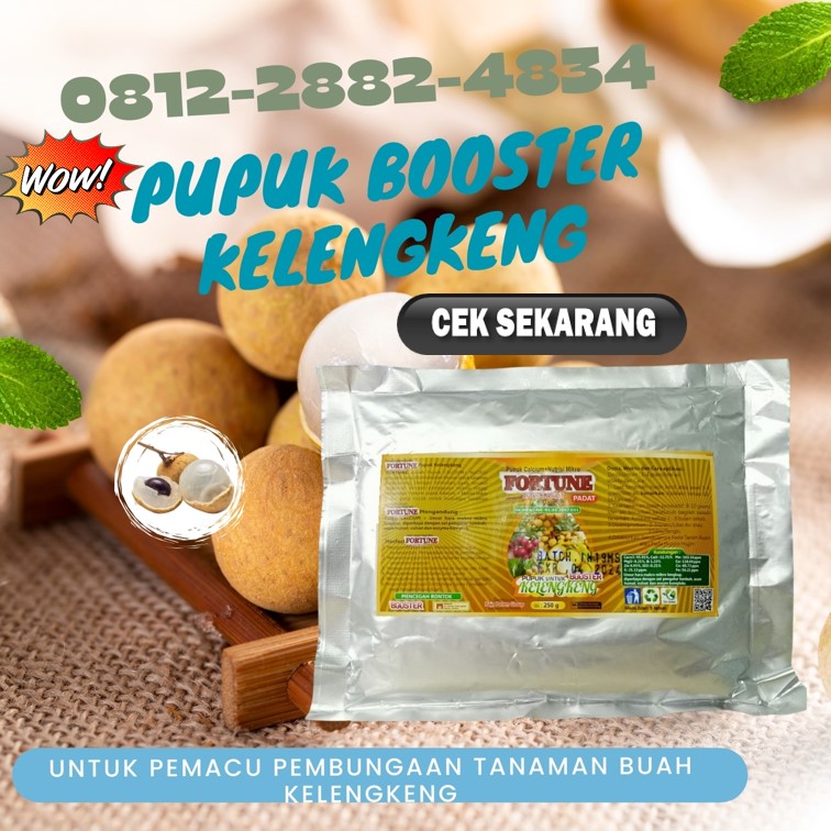 Jual Pupuk Yang Cocok Untuk Kelengkeng Kendal, Supplier Pupuk Dasar Kelengkeng Klaten, Suplier Pupuk Kelengkeng Brebes