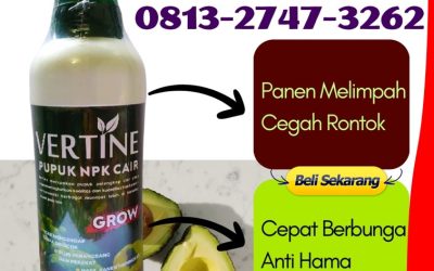 ORGANIK CALL 0813-2747-3262, AGEN Pupuk Booster Alpukat Kebun Tebu, Pupuk Tanaman Alpukat Lumbok Seminung, Pupuk NPK Untuk Alpukat Pagar Dewa