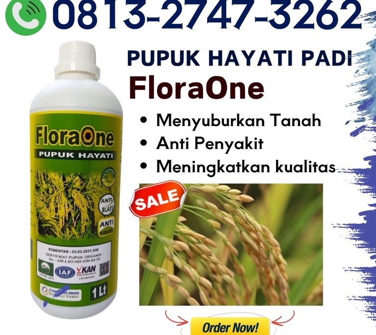 CUMA BULAN INI CALL 0813-2747-3262, GROSIR Pupuk Padi Ciherang Sumba Timur, Pupuk Padi Mekongga Waingapu, Pupuk Padi IR 66 Sumba Barat