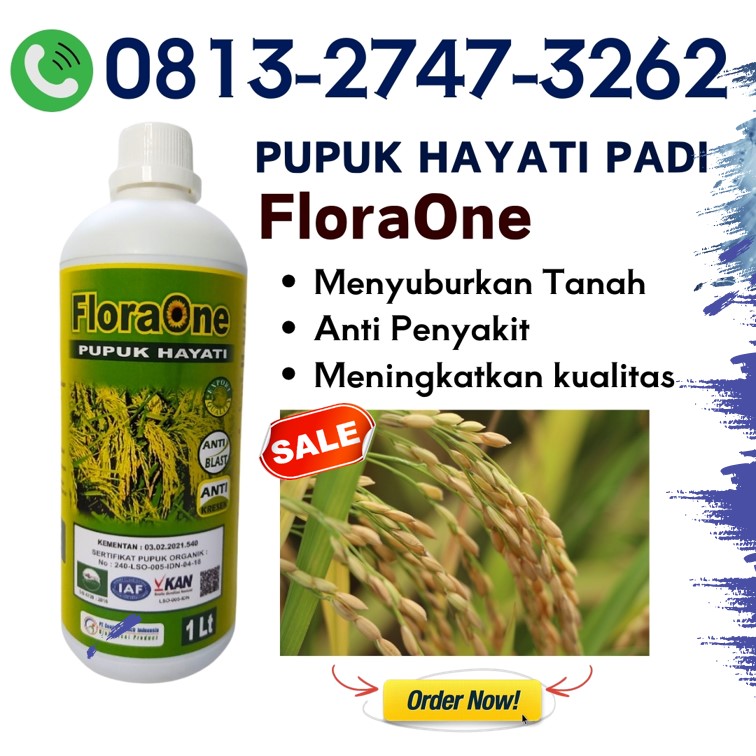 GROSIR Pupuk Padi Bunting Sumba Timur, HARGA Pupuk Padi Biar Banyak Anak Waingapu, Pupuk Padi Baru Tanam Sumba Barat