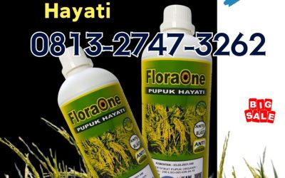 ALAMI CALL 0813-2747-3262, HARGA Pupuk Padi Mekongga Waingapu, Pupuk Padi IR 66 Sumba Barat, Pupuk Padi ST Bagendit Waikabubak