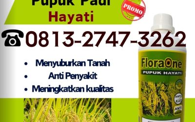 GA MAIN MAIN CALL 0813-2747-3262, DISTRIBUTOR Pupuk Padi ST Bagendit Waikabubak, Pupuk Padi Inpari 32 Lembata, Pupuk Padi Inpari 42 Lewoleba
