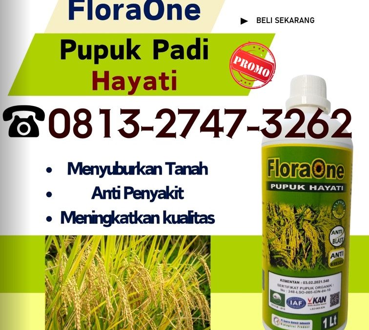 GA MAIN MAIN CALL 0813-2747-3262, DISTRIBUTOR Pupuk Padi ST Bagendit Waikabubak, Pupuk Padi Inpari 32 Lembata, Pupuk Padi Inpari 42 Lewoleba