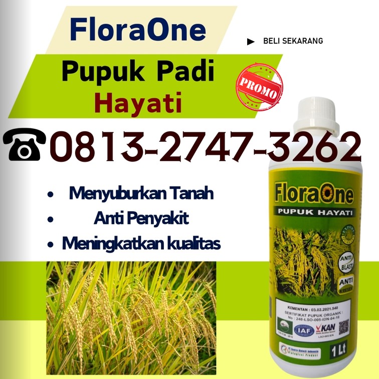 DISTRIBUTOR Pupuk Padi Buah Waikabubak, AGEN Pupuk Buah Padi Paling Bagus Lembata, Pupuk Benih Padi Lewoleba