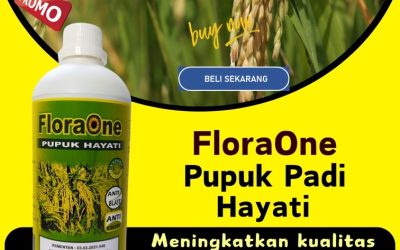 GARA GARA INI CALL 0813-2747-3262, AGEN Pupuk Padi Inpari 32 Lembata, Pupuk Padi Inpari 42 Lewoleba, Pupuk Padi Inpari 49 Rote Ndao