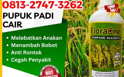 CUMA BULAN INI CALL 0813-2747-3262, SUPPLIER Pupuk Padi Inpari 49 Rote Ndao, Pupuk Padi Cakrabuana Baa, Pupuk Padi Pajajaran Manggarai Barat