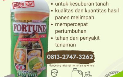 ORGANIK! CALL 0812-2882-4834, AGEN pupuk durian agar cepat berbunga Poso, pupuk durian alami Donggala, pupuk durian booster Banawa