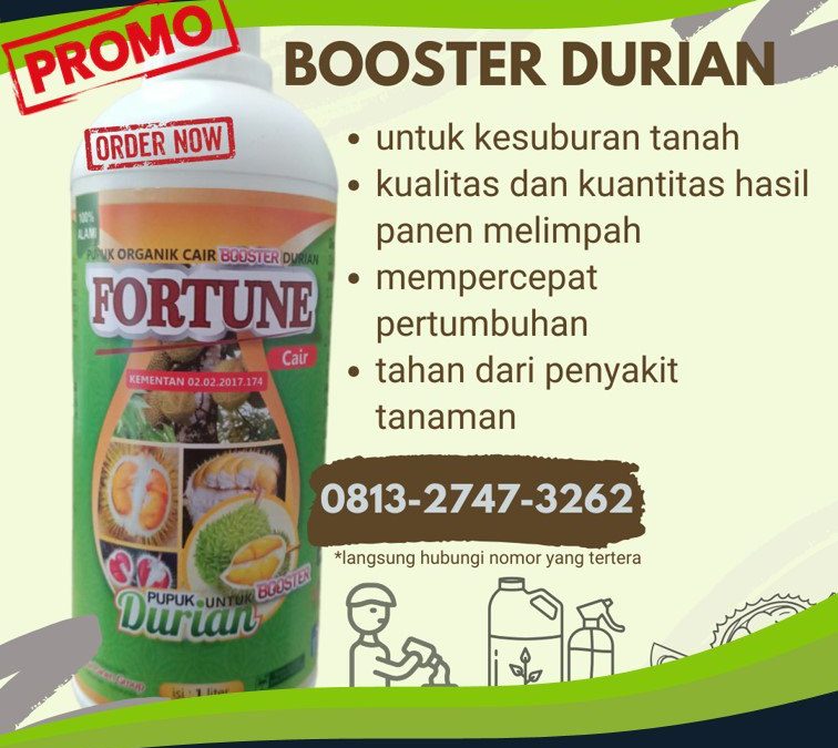 ORGANIK! CALL 0812-2882-4834, AGEN pupuk durian agar cepat berbunga Poso, pupuk durian alami Donggala, pupuk durian booster Banawa