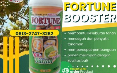HAYATI! CALL 0812-2882-4834, DISTRIBUTOR pupuk durian alami Donggala, pupuk durian booster Banawa, pupuk durian bawor Tolitoli