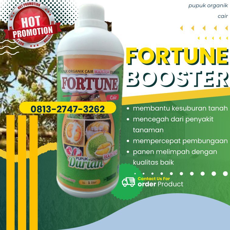 DISTRIBUTOR pupuk durian alami Donggala, pupuk durian booster Banawa, pupuk durian bawor Tolitoli