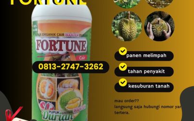 LEGALITAS KEMENTAN! CALL 0812-2882-4834, AGEN pupuk durian booster Banawa, pupuk durian bawor Tolitoli, pupuk buah durian agar tidak rontok Tolitoli