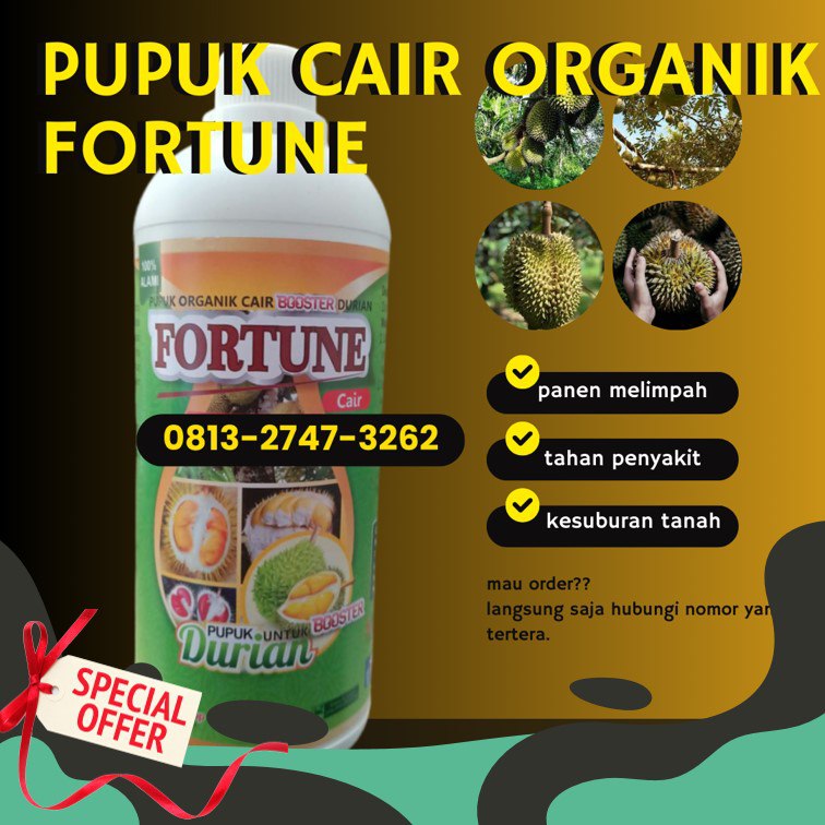 AGEN pupuk durian booster Banawa, pupuk durian bawor Tolitoli, pupuk buah durian agar tidak rontok Tolitoli