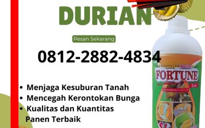 LEGALITAS KEMENTAN! 0812-2882-4834 Distributor pupuk durian agar berbuah Tolitoli, Pusat pupuk durian agar bunga tidak rontok Buol, Toko pupuk durian agar rasanya manis Buol