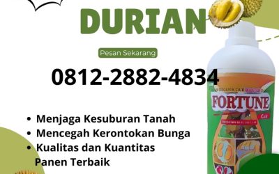TERBAIK! 0812-2882-4834 Distributor pupuk durian agar cepat berbuah Palu, Pusat pupuk durian umur 1 tahun Banggai, Toko pupuk durian baru tanam Luwuk