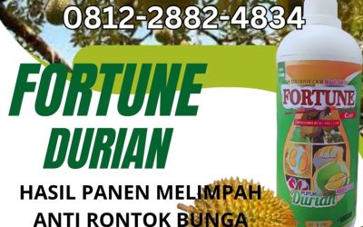 TERMURAH! 0812-2882-4834 Distributor pupuk durian yang bagus Poso, Pusat pupuk durian agar cepat besar Donggala, Toko pupuk durian agar berbuah lebat Banawa