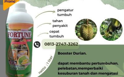 KEMENTAN APPROVE! CALL 0812-2882-4834, GROSIR pupuk durian agar tidak rontok Luwuk, pupuk durian agar berbuah lebat Poso, pupuk durian agar cepat berbunga Poso