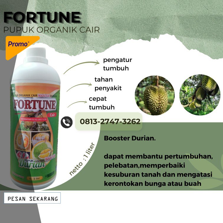 GROSIR pupuk durian agar tidak rontok Luwuk, pupuk durian agar berbuah lebat Poso, pupuk durian agar cepat berbunga Poso