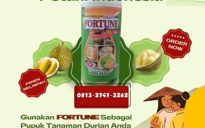 ALAMI! CALL 0812-2882-4834, HARGA pupuk durian agar berbuah lebat Poso, pupuk durian agar cepat berbunga Poso, pupuk durian alami Donggala