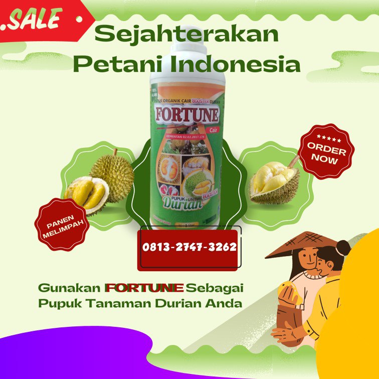 HARGA pupuk durian agar berbuah lebat Poso, pupuk durian agar cepat berbunga Poso, pupuk durian alami Donggala
