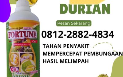 ORGANIK! 0812-2882-4834 Jual pupuk durian awal tanam Tolitoli, Distributor pupuk durian agar berbuah Tolitoli, Pusat pupuk durian agar bunga tidak rontok Buol