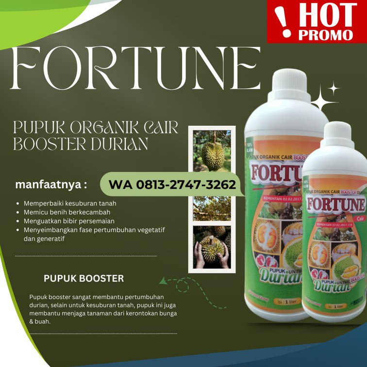 PUSAT pupuk untuk durian baru tanam Buol, pupuk durian Buol, pupuk durian agar cepat berbuah Morowali
